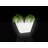 Uve Resin Pot Planter