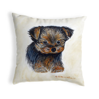 Indoor/Outdoor Throw Pillow