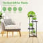 Plant Stand