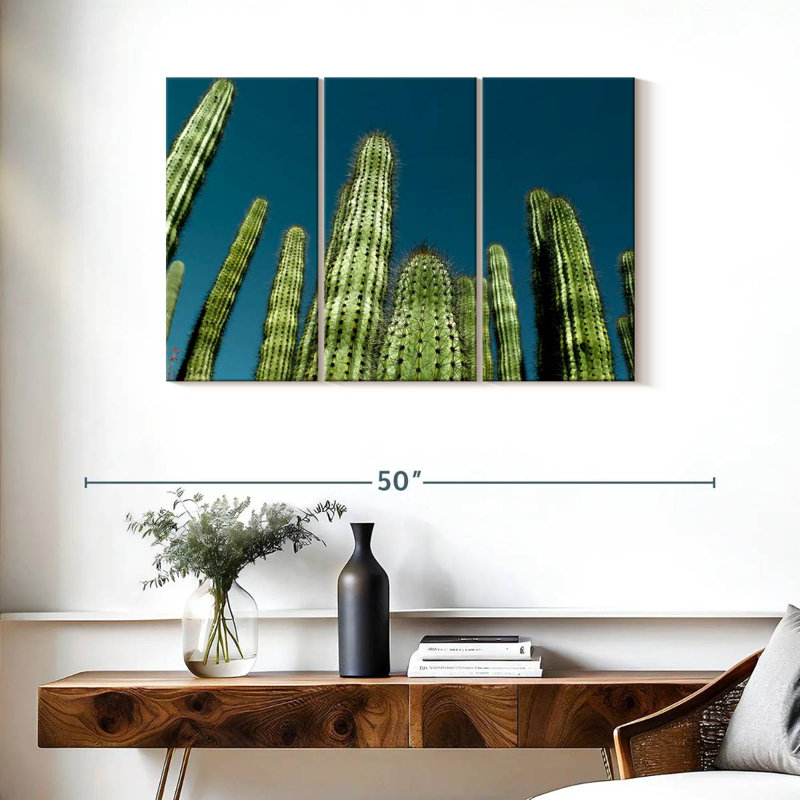 Cactus bleu ciel Harnek, H 24 po x l 38 po
