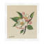 Cherry Blossom Print-311341902