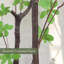 Enkianthus japonais en pot 78 po Everleaf
