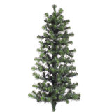 Douglas Fir Wall Tree
