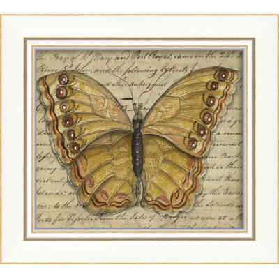 « papillon », impression encadrée