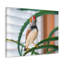 No Frame Print on Canvas-1626159121