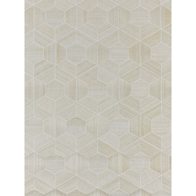 Hive | Abaca