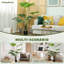 Faux Palm Tree in Pot-2128814853