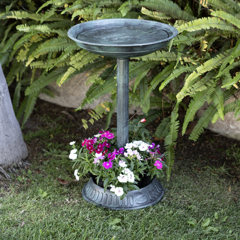 Ringo Plastic/Acrylic Birdbath