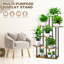 Plant Stand - Set of 8
