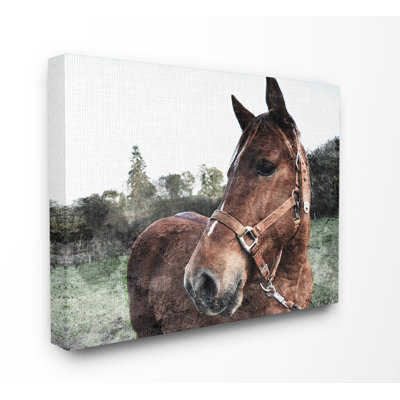 " Horse Posing In Field " by Milli Villa
