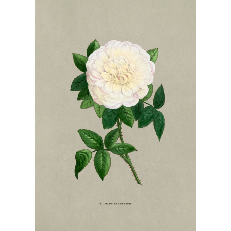 Wrapped Canvas Print, 121.92 cm H x 81.28 cm W