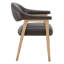 Chaise rembourrée Efren Daina Rosswell-117574249