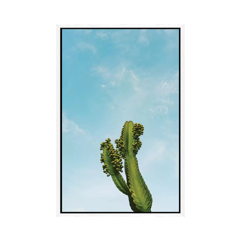 Reach For The Sky II by Bethany Young - Print on Canvas, White Framed, 101.6cm H x 66.04cm W x 3.81cm D