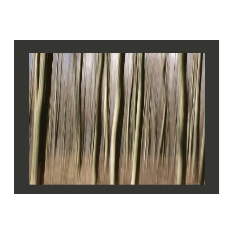 Forest 3.09m x 400cm Wallpaper, Olive, 350 cm x 270 cm