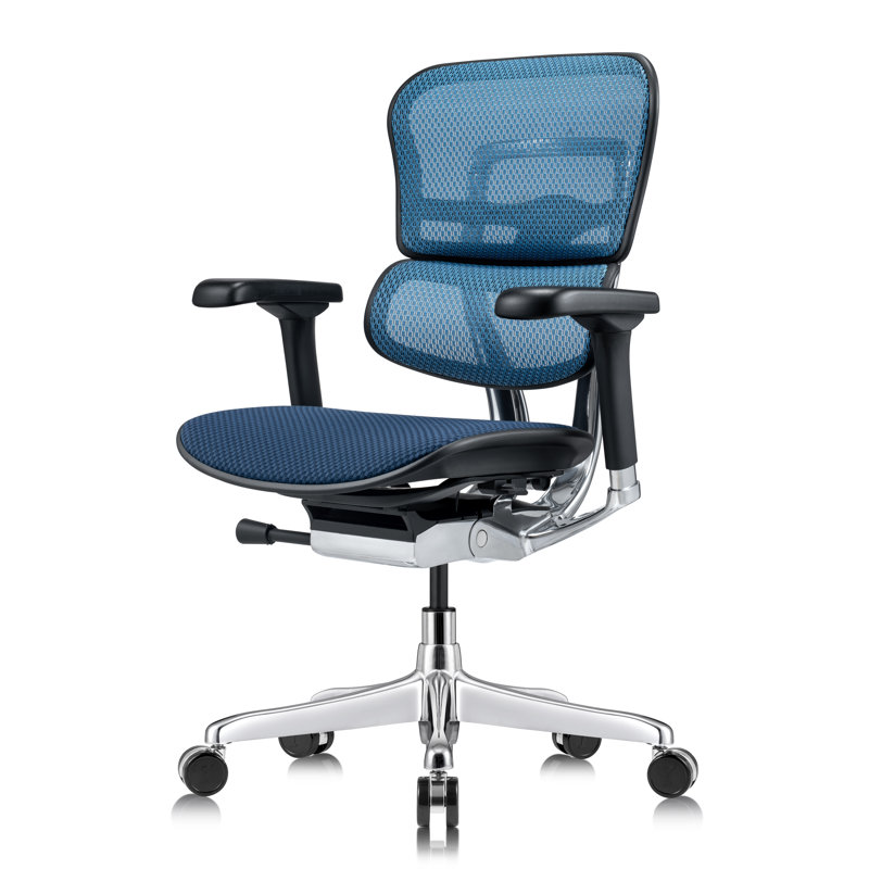 Fauteuil de bureau ergonomique Tempur-Pedic Ergohuman Gen2, Bleu