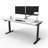 Skyscraper Electric Height Adjustable Standing Desk, Dual Motor and Digital Control with Memory, 60x30, White Top with Black Frame-1076506105-1191903530