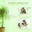 Tablettes murales murales pour chats d'intérieur - Solution peu encombrante