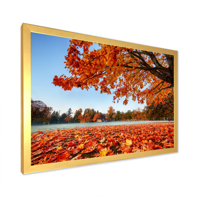 Mystic Autumn Forest - reproduction de cadre flottant sur toile, H 16 po x l 32 po x P 1 po, Encadrement doré