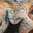 Alkire Indoor Rug-1636558283
