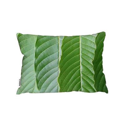 Floral Cushion