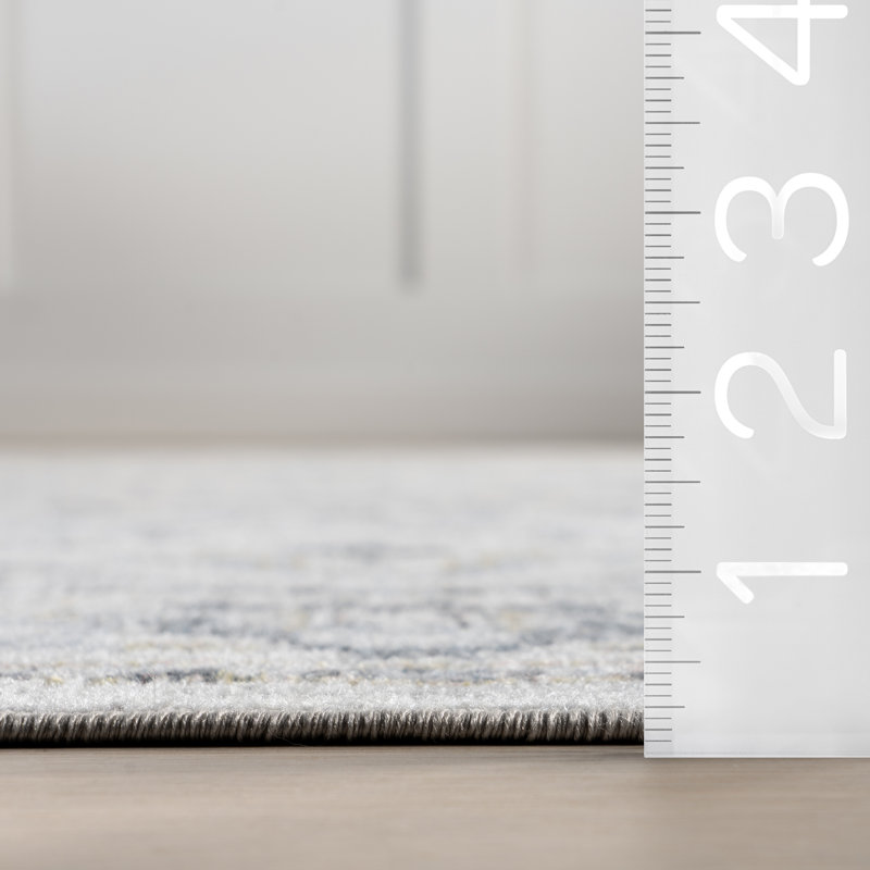 Cady SpinClean Machine Washable Transitional Area Rug, Rectangle 4' x 6'