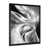 Black Single Picture Framed Canvas