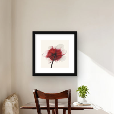 Anemone Red Flower - Pink Office Framed Matted Print Decor