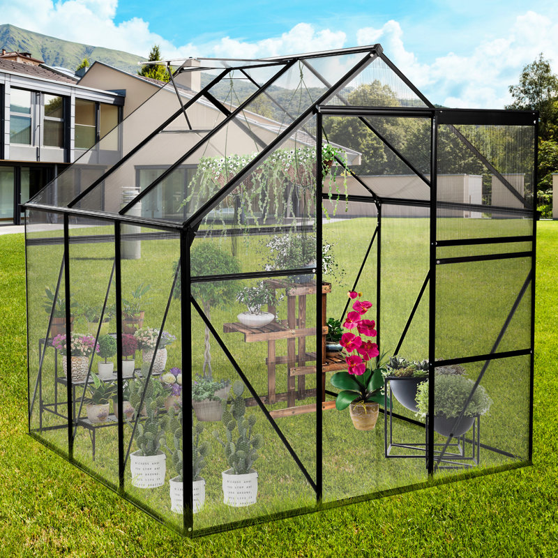 Walk-In Greenhouse 6X6ft - Polycarbonate noir avec cadre robuste, toit réglable toutes saisons pour la cour arrière, base galvanisée noire, porte coulissante robuste pour la croissance des plantes extérieures, amélioration du débit d'air,