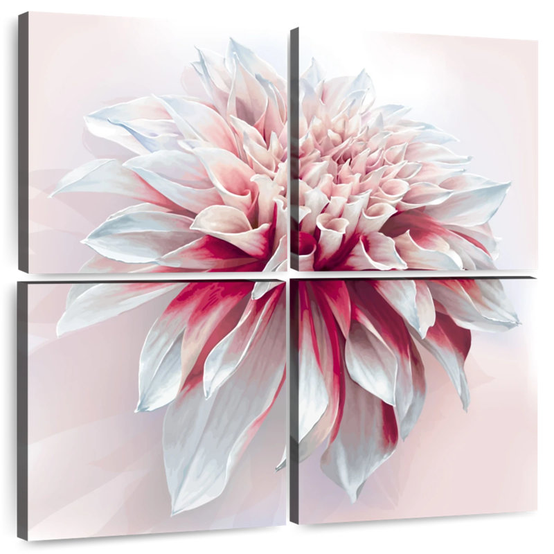 Harnek Red White Dahlia