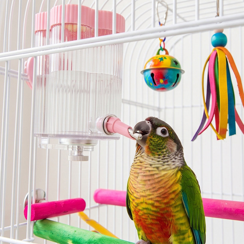 Couvercle décoratif pour tête de distributeur d'eau magnétique pour oiseaux, en forme de fleur, abreuvoir automatique à picots, anti-gouttes, pour perroquets et petits oiseaux. Accessoires pour cages.