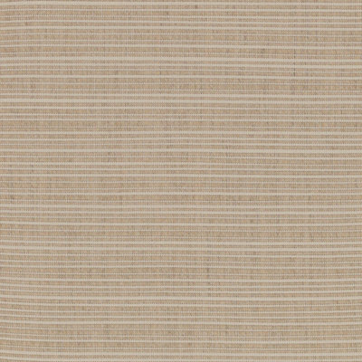 Sunbrella Dupione Sand Sample