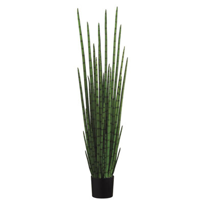 Faux Snake Plant (Sansevieria) Grass