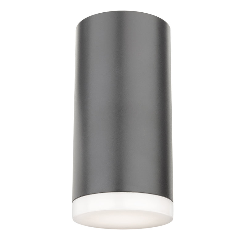 15.5cm H Integrated LED Outdoor Armed Sconce