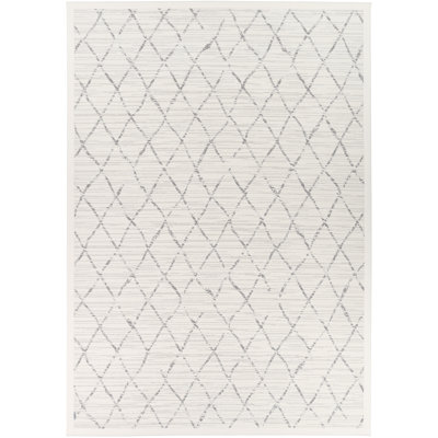 Sasha Geometric Hand Woven Area Rug