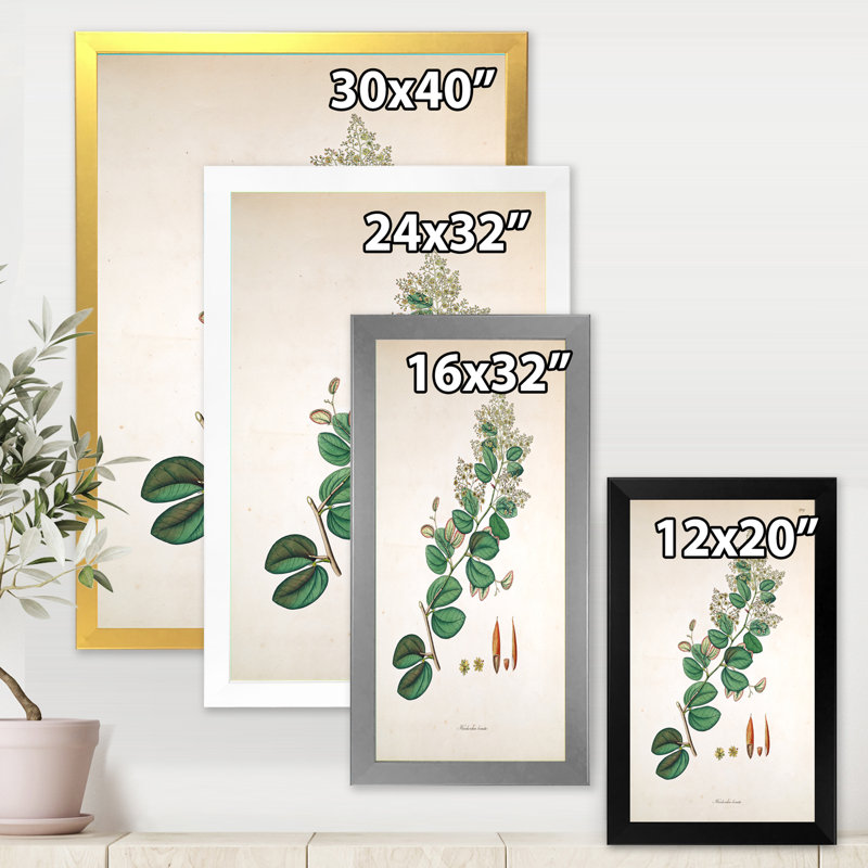 «Vintage Botanicals XIII», peinture sur toile, Cadre photo argenté, H 40 po x l 30 po x 1,5 po