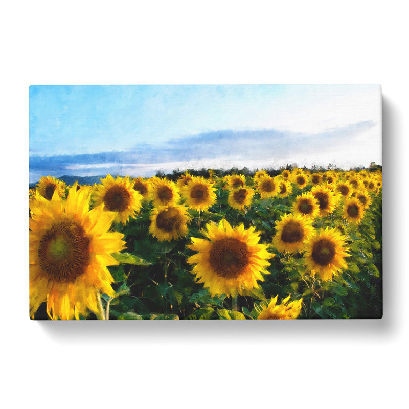 Sunflowers - Wrapped Canvas Print, 35cm H x 76cm W x 3cm D