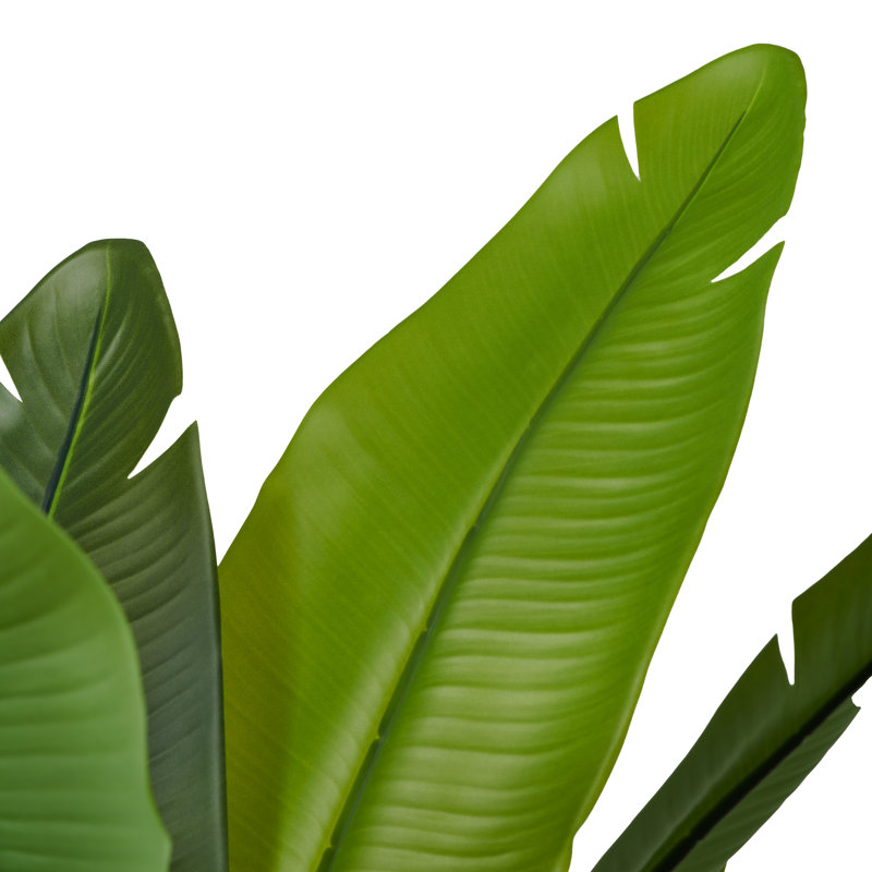 Palma 47" Tall Faux Banana Leaf Tree in Black Pot