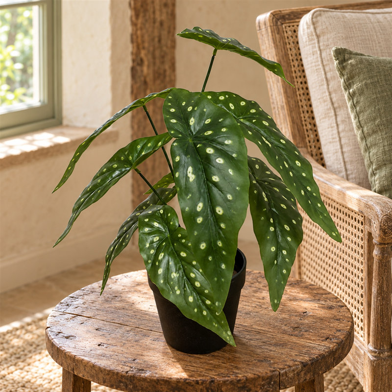 35 cm H Faux Foliage and evergreen Plant in Plastic Pot Liner, 30cm H x 20cm W x 20cm D