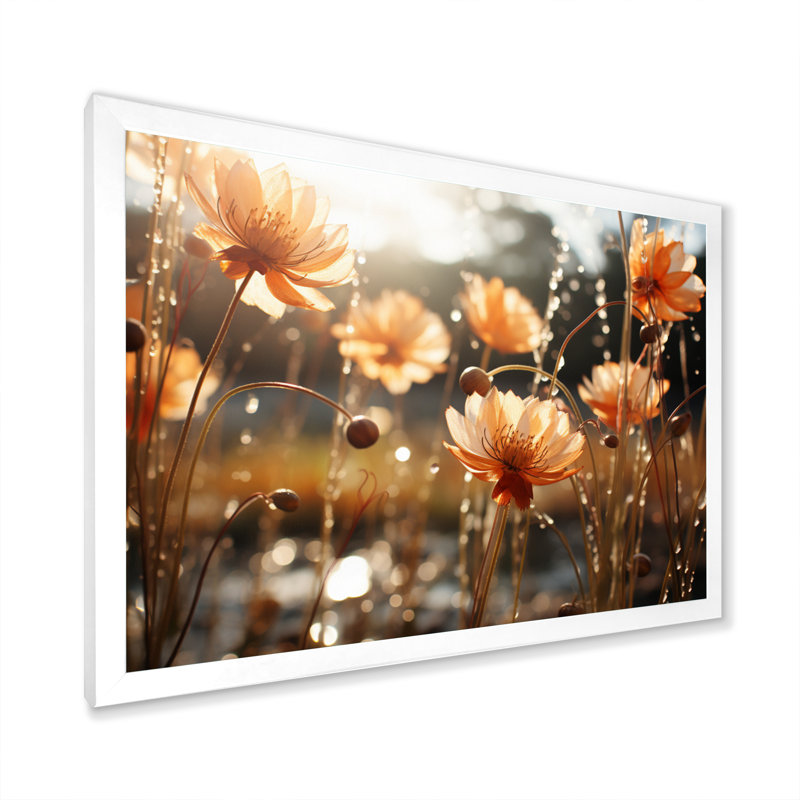Mums Field I, reproduction d'art sur toile, H 12 po x l 20 po x P 1 po, Cadre simple blanc