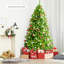 Arbre de Noël pin vert-529796853