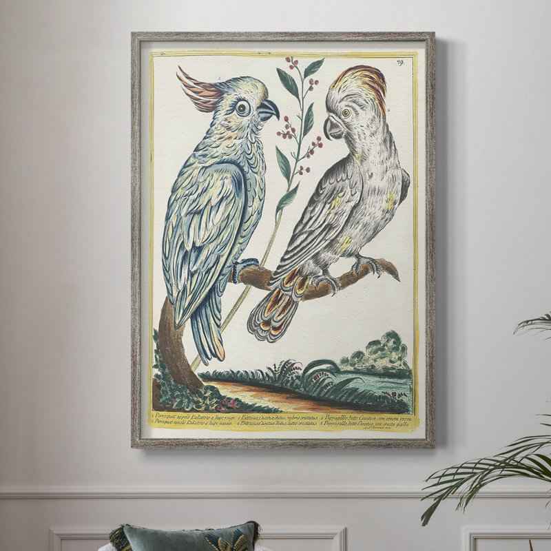 «Pastel Birds I», reproduction encadrée - bois massif