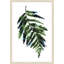 Fern Press 2 Painting by Studio NYC Design-1537943574