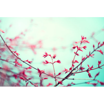 Spring Awakening by Borchee - Wrapped Canvas Print
