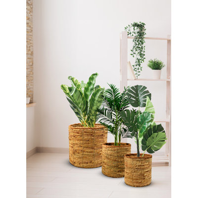Avagail Pot Planter