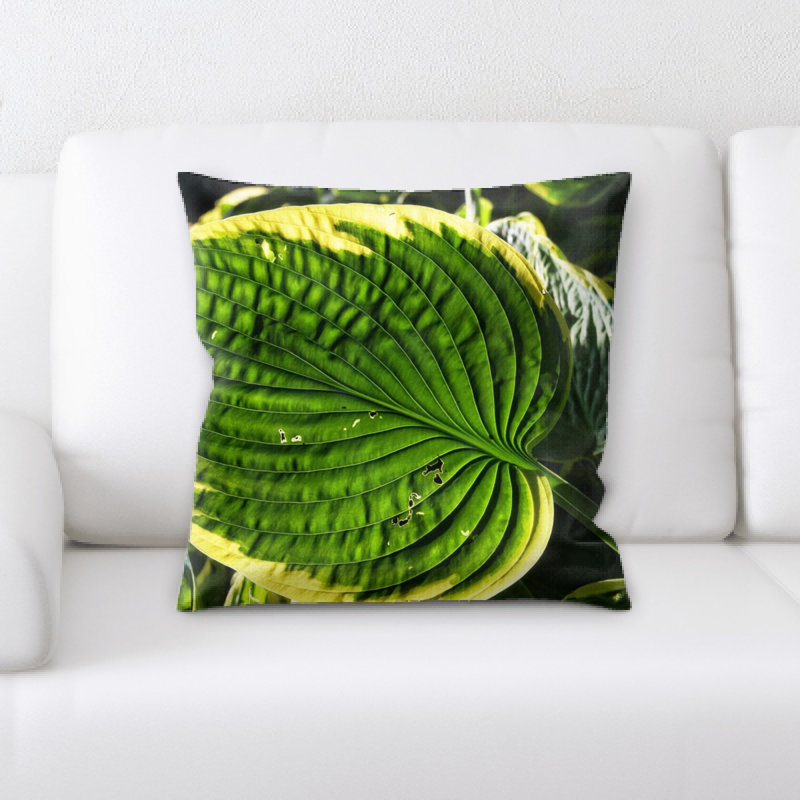 Coussin linuxun