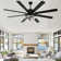 Terriek 72" DIY Shade Reversible Caged Ceiling Fan with Dimmable LED Light and Remote