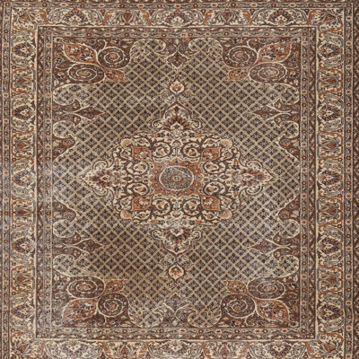 Kajetan Oriental Indoor Rug