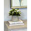 Kalanchoe Arrangement in Fiberstone Pot-1078803482