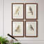 " Barn Owl " 4 - Pieces-868360934-868360935