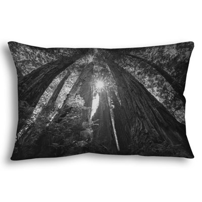 Throw Pillow, Among Giants by Scott Barlow